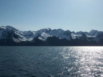 [Hearth.com] 4th grade Seward boat trip