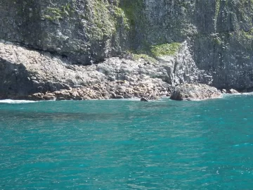 [Hearth.com] 4th grade Seward boat trip