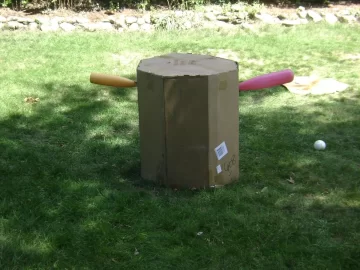 [Hearth.com] Parrot Fort...