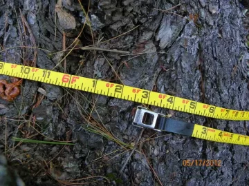 [Hearth.com] Wider Slab for a Coffee Table