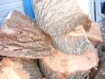 [Hearth.com] My first haul of wood with first saw!