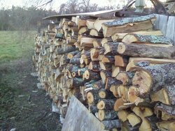 long wood pile.jpg