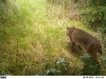[Hearth.com] Finally caught my kitty