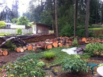 [Hearth.com] Destroyed Fence and garden bed = 5  trees worth of free firewood!