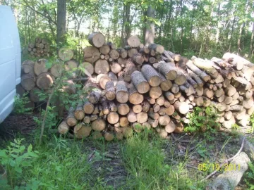 [Hearth.com] Got some wood out