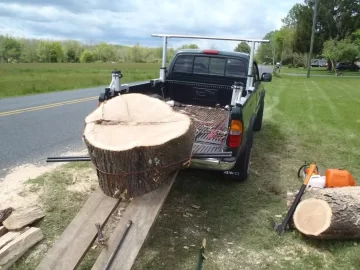 [Hearth.com] Honey Locust Today -Now With Pics