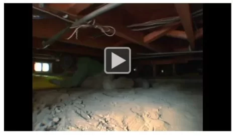 [Hearth.com] Crawl Space Encapsulation
