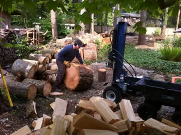 [Hearth.com] Destroyed Fence and garden bed = 5  trees worth of free firewood!