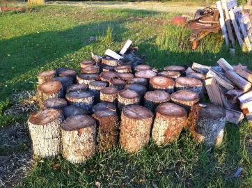 [Hearth.com] Big Score(scrounge)!