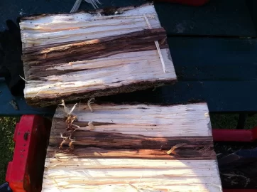 [Hearth.com] Big Score(scrounge)!