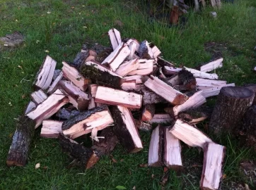 [Hearth.com] Big Score(scrounge)!