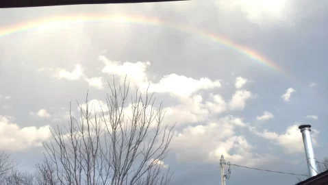 [Hearth.com] rainbow on the mountain