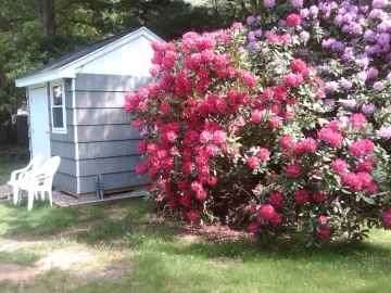 [Hearth.com] Shed Permit Convenient but Prominent and Permanent Storage