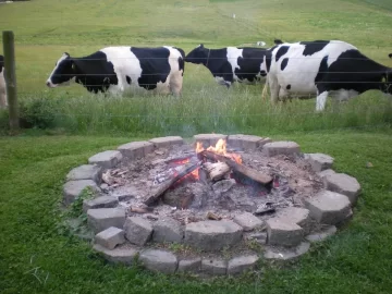 [Hearth.com] Still burning here.