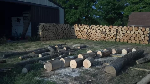 [Hearth.com] River Birch