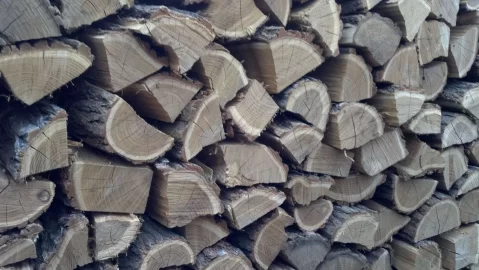[Hearth.com] River Birch
