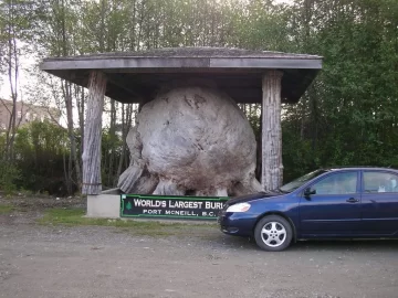 [Hearth.com] Big  Burls