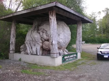 [Hearth.com] Big  Burls