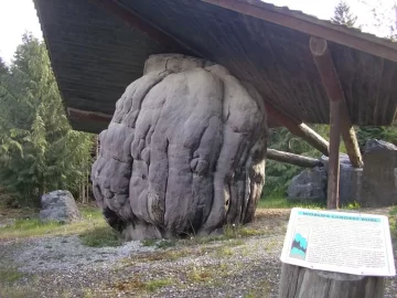 [Hearth.com] Big  Burls