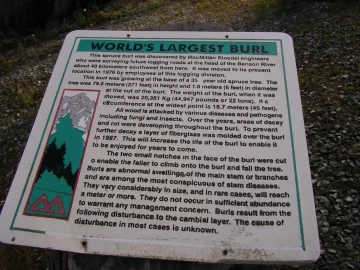 [Hearth.com] Big  Burls