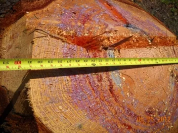 [Hearth.com] Load Two from the Glory Pile