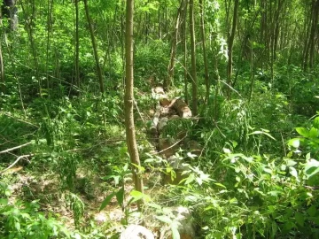 [Hearth.com] Getting down and dirty in 90*weather,insanity?you tell me.