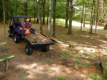 [Hearth.com] Pine Needle Removal