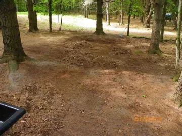 [Hearth.com] Pine Needle Removal