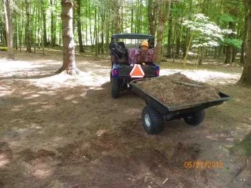 [Hearth.com] Pine Needle Removal