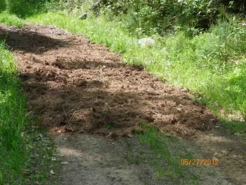 [Hearth.com] Pine Needle Removal