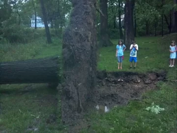 [Hearth.com] wicked storms hit my town today!