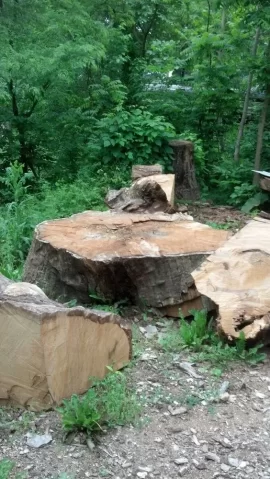[Hearth.com] Amish cuts slab by hand