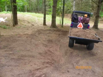 [Hearth.com] Pine Needle Removal