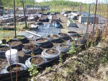 [Hearth.com] Garden 90% planted, Pics: