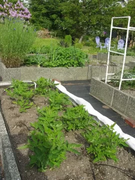 [Hearth.com] Garden 90% planted, Pics: