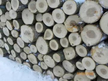 [Hearth.com] Pretty sure this is ash.  pics