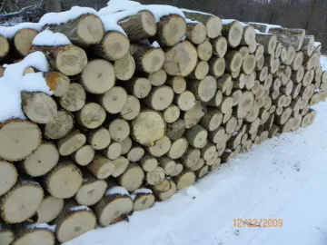 [Hearth.com] Pretty sure this is ash.  pics