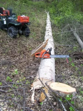[Hearth.com] Got some birch from State wood area