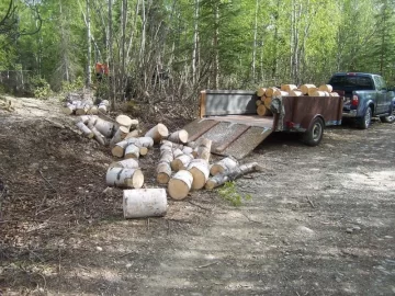 [Hearth.com] Got some birch from State wood area