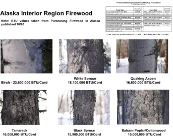 [Hearth.com] Got some birch from State wood area