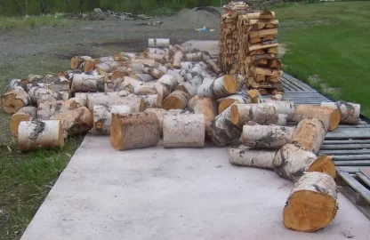 [Hearth.com] Got some birch from State wood area
