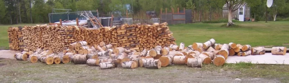 [Hearth.com] Got some birch from State wood area