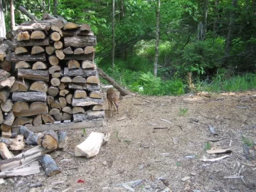 [Hearth.com] came for a visit...