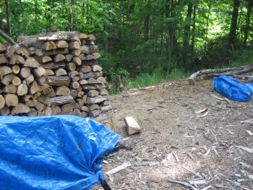 [Hearth.com] came for a visit...