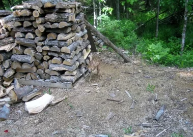 [Hearth.com] came for a visit...