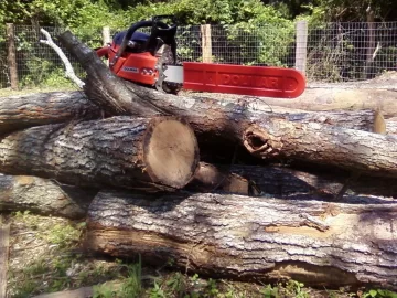 [Hearth.com] Some Nice Red Oak Delivered