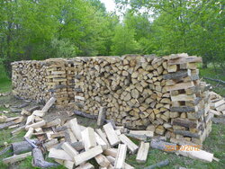 Wood-2012a.JPG