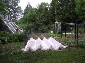[Hearth.com] Nope, no sense to planting early!