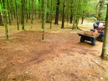 [Hearth.com] Pine Needle Removal