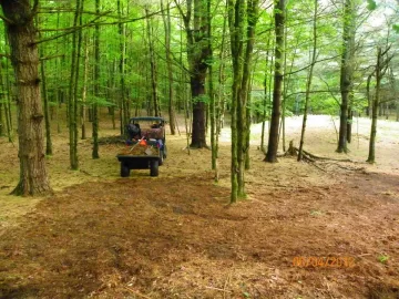 [Hearth.com] Pine Needle Removal